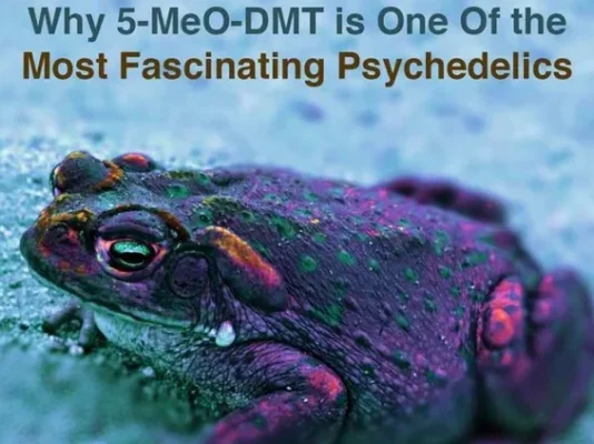 5 meo dmt for sale, 5 meo dmt reddit​, 5 meo dmt art​, 5 meo dmt wiki​,5-meo-dmt clinical trials​, 5 meo dmt vape, 5-meo-dmt near me, buy 5 meo dmt online, 5 meo dmt vape pen​, 5 meo dmt kaufen​, 5-meo-dmt kaufen​, 5 meo dmt testen​, 5 meo dmt depression​, 5 meo dmt legal​, 5-meo-dmt testen​, 5 meo dmt studie​, ist 5 meo dmt legal​, 5 meo dmt for sale, 5 meo dmt for sale​, 5 meo dmt dosage​, 5 meo dmt nz​, 5 meo dmt​, 5 meo dmt for sale​, 5 meo dmt kaufen, 5 meo dmt for sale​, 5 meo dmt extraction, ​