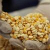 methamphetamine vs amphetamine, amphetamine dextroamphetamine, amphetaminen herstellung, amphetamine mac, macos amphetamine, mac amphetamine, amphetamine mac, amphetamin sulfat, amphetamin abstinenz nachweisen, speed amphetamin, amphetamin dosierung, kokain amphetaminen, amphetamin überdosis, amphetamin base, amphetamine mac, legales amphetaminen, legale amphetaminen, amphetamine kaufen, amphetamin kaufen, amphetaminen herstellung, amphetamine tabletten, amphetamin tabletten, amphetamin herstellung, amphetamin herstellen, amphetaminen tabletten, amphetamine herstellung, amphetamine drogen, amphetamin bodybuilding, amphetamine online kaufen, amphetamin testen, amphetamin online kaufen, amphetamin tabletten apotheke, kokain amphetaminen, amphetamin psychose, amphetamin entzug, amphetamine öl, amphetaminen öl, amphetamin adhs, amphetamin entzug, amphetamine withdrawal scale, difference between methamphetamine and amphetamines, buy amphetamine, amphetamine vs methamphetamine, difference between meth and amphetamine, amphetamin dosierung, amphetamine psychosis recovery, amphetamine psychonautwiki, amphetamine synthesis p2np, advanced techniques of clandestine psychedelic & amphetamine manufacture, stay fit and slim by taking amphetamine, amphetamine online, sandoz-amphetamine xr vs adderall, is methamphetamine an amphetamine, methamphetamine vs amphetamine, amphetamine vs methamphetamine, sandoz amphetamine, amphetamine speed, sandoz-amphetamine, amphetamine zum abnehmen, amphetamin kaufen online, amphetamin haltbarkeit, amphetamines nhs, amphetamine discharge glamour