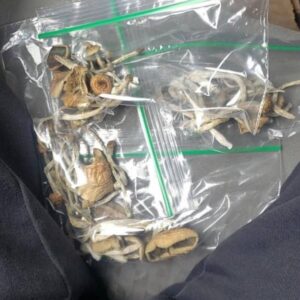 how long do shrooms last​, how long do shrooms stay in your system​, shroom shroom, tub shroom​, can you smoke shrooms, how long does it take for shrooms to kick in, how long do shrooms take to hit​, how long does shrooms stay in your system, do shrooms show up on drug test, how long does a shroom trip last, how long does shrooms last, shroom cart, can you overdose on shrooms, how long do shrooms last in your system, how to make shroom tea, shrooms drug test​, when do shrooms peak​, how long are shrooms in your system, how long does it take shrooms to kick in, how long does shrooms take to hit, do shrooms show up in drug test, how long for shrooms to kick in, where can i buy shrooms​, how long do shrooms last in system, how long do shrooms show up on drug tests, how long does shrooms last in system, 1 gram of shrooms, can you overdose from shrooms, how long does a shroom high last, how long does shrooms high last, how long does shroom trip last, how much shrooms to take, lsd vs shrooms, polka dot shroom bar, polkadot shroom bar, shroom carts, where do you buy shrooms, can u smoke shrooms, smoking shrooms,